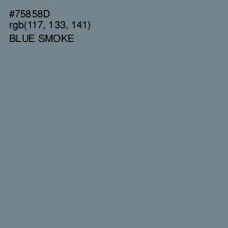 #75858D - Blue Smoke Color Image
